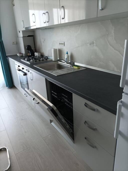 Rebreanu Residence Lux Apartmen Timişoara Exterior foto